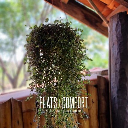 Novidade Flats Comfort Na Vila De Sao Jorge - Chapada Dos Veadeiros Hotel Exterior photo
